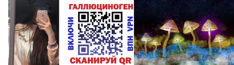 OMG tor Дмитриев Галлюциногенные грибы ЛСД